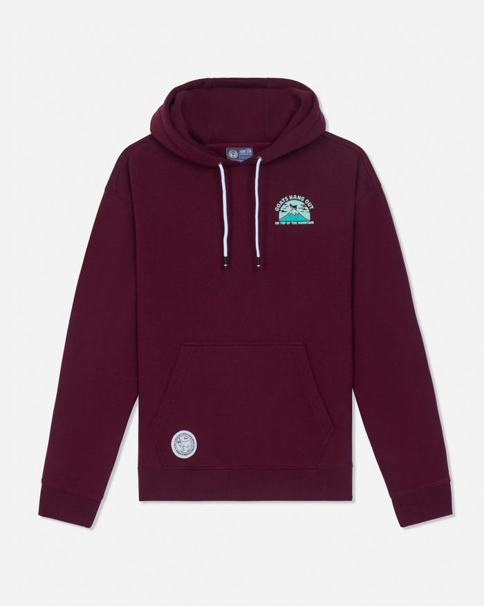 A maroon pullover hoodie with white drawstrings, featuring a small green and blue graphic on the left chest and a circular patch on the lower left front pocket, displayed against a light gray background.