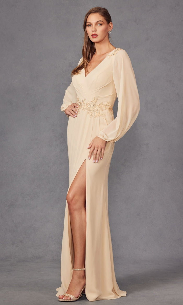 Juliet Long Formal Dress jtm16a
