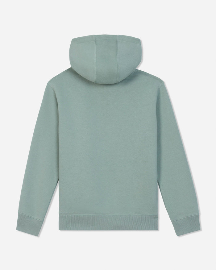 A sage green hooded sweatshirt shown from the back, featuring a solid color with ribbed cuffs and hem, set against a light gray background.