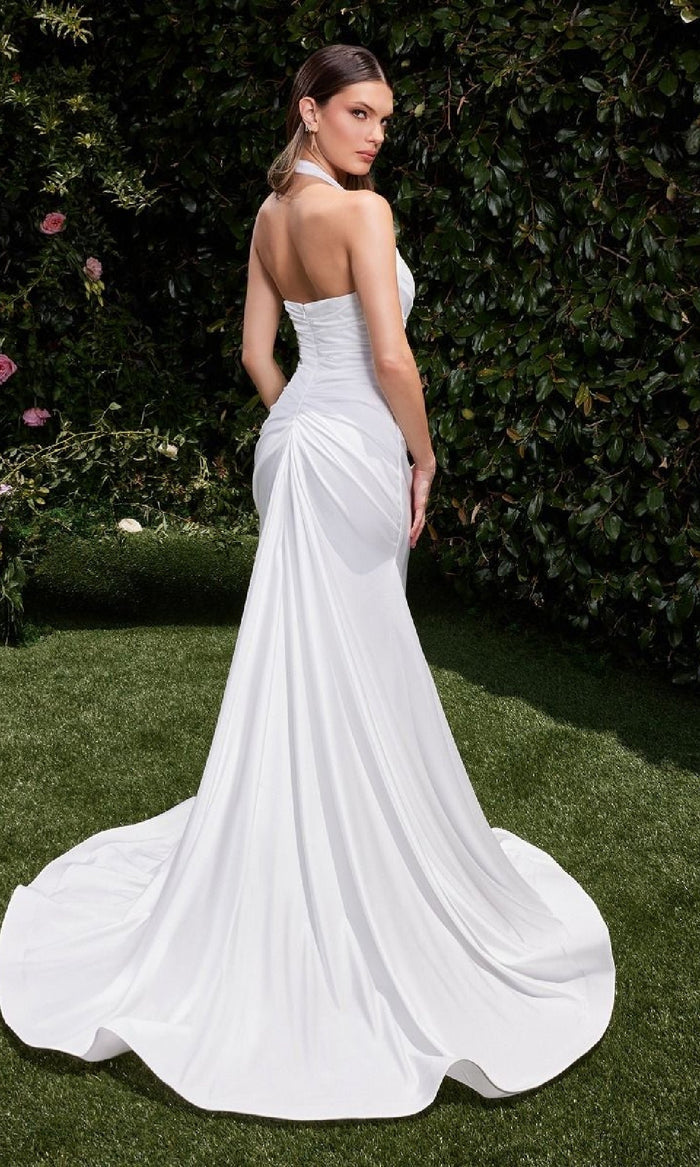 Ladivine Long Formal Dress cd796w
