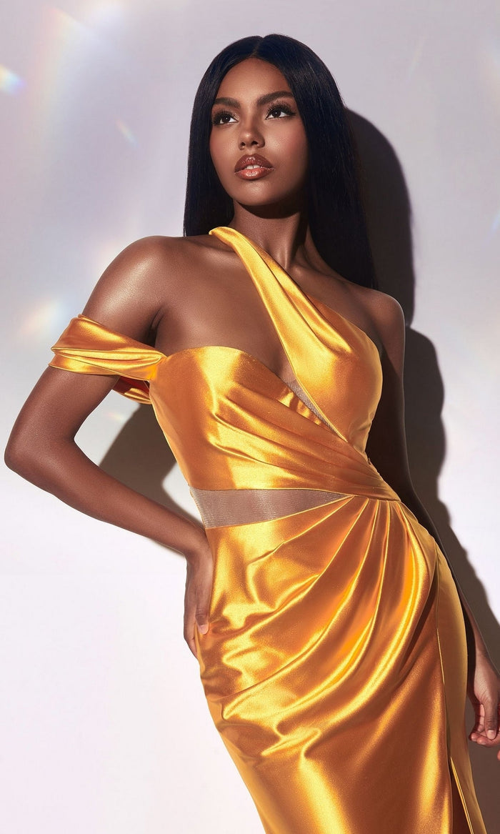 Ladivine Long Formal Dress y025