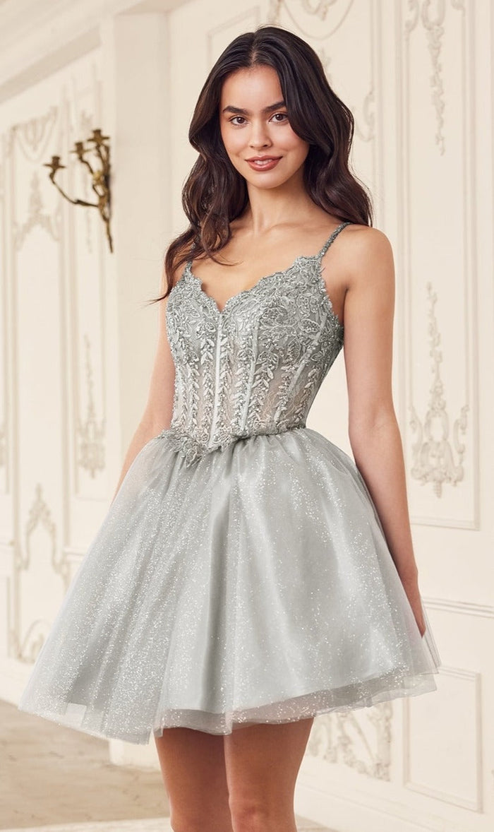 Silver Ladivine Short Party Dress cd0236