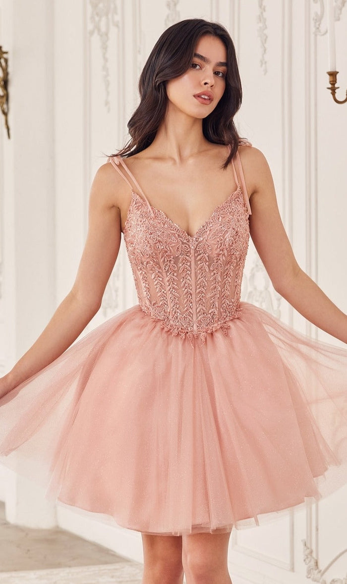 Blush Ladivine Short Party Dress cd0236