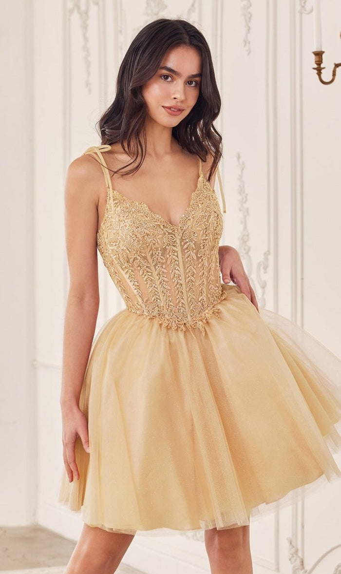 Champagne Ladivine Short Party Dress cd0236