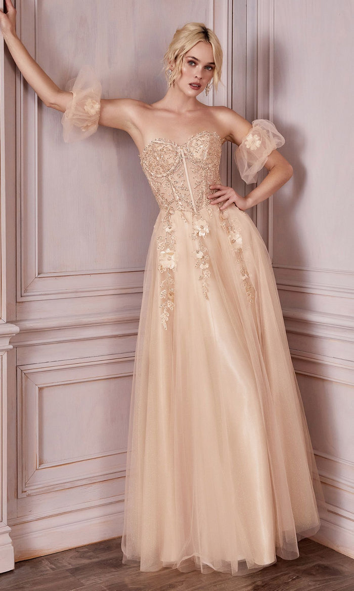 Long Plus-Size Formal Dress CD0191C by Ladivine