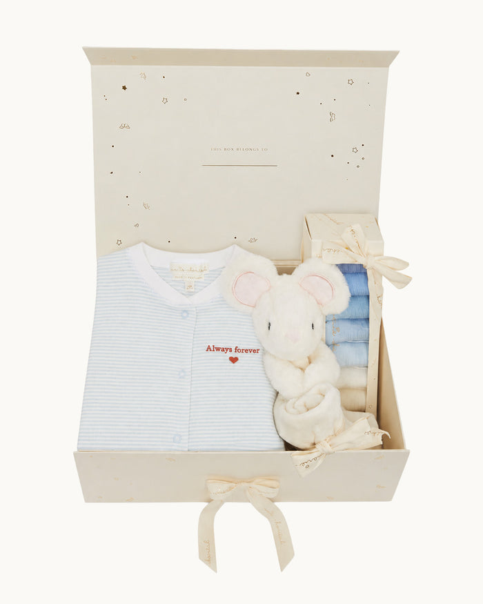 New Baby Boy Gift Set - Blue