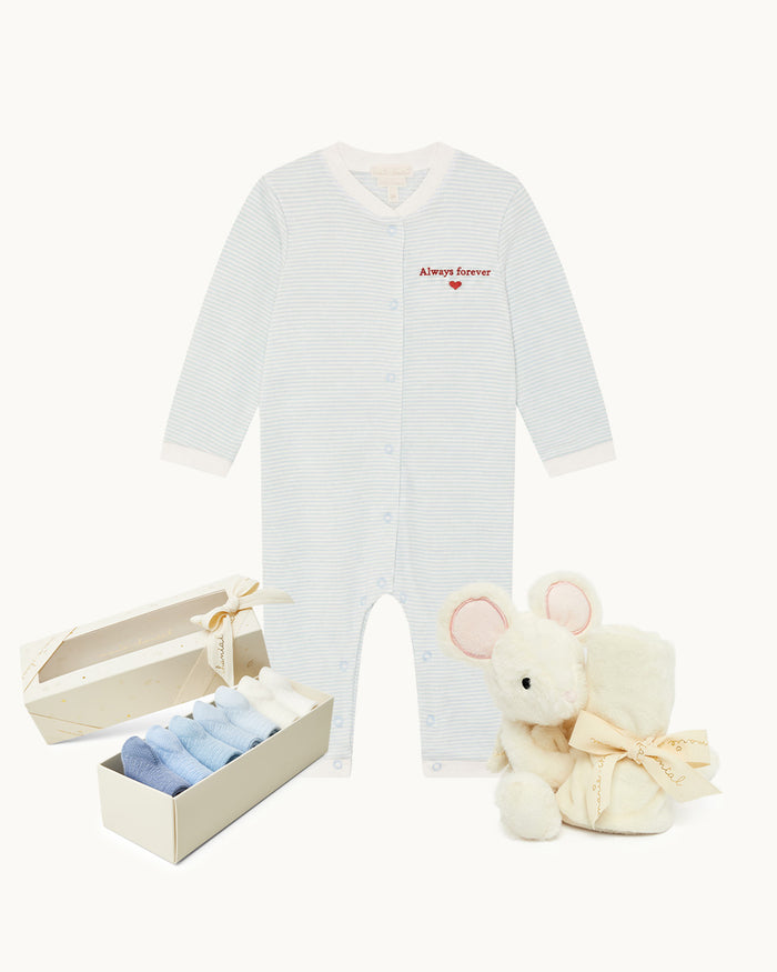 New Baby Boy Gift Set - Blue